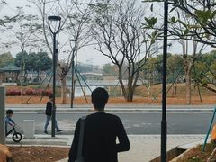 -王借岗森林公园