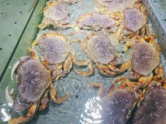 -阿拉斯加·海货(马王堆店)