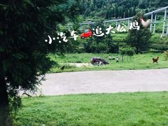 -玉舍国家森林公园