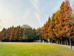 -溱湖国家湿地公园