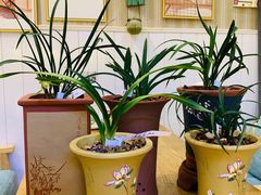 -Rabbit Cafe私房西餐甜点咖啡(栖霞路店)