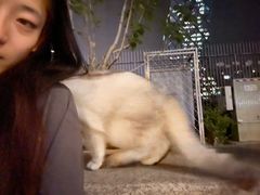 -中央广播电视总台(光华路办公区)