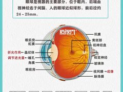 -武汉大学附属爱尔眼科医院(湖北总院)