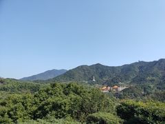 -深圳仙湖植物园