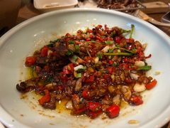 -鸽子窝(青塔店)