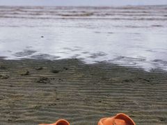 -南汇新城海滩