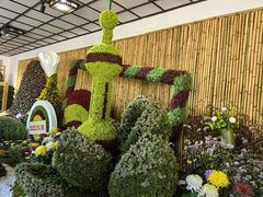 -杭州植物园