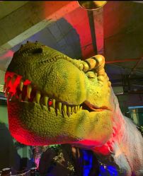 -恐龙探索乐园(磁器口店)