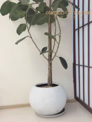 -康舒普拉提工作室control pilates