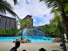 -亚马逊丛林水乐园