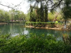 -长白岛森林公园