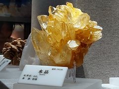-贵州省地质博物馆
