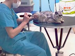 -天宠宠物医院24小时·急重症诊疗中心·全科·腔镜特色(和平分院)