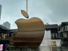-Apple零售店(成都太古里店)