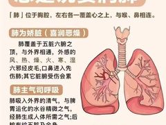 -名医堂·颈肩腰腿特色调理(浦三路店)