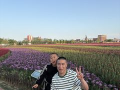 -荷兰花海