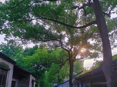 -绍兴鲁迅故里·沈园景区