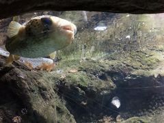 -杭州海底世界
