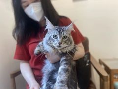 -佐罗家宠物馆·猫文化馆(紫霞路店)
