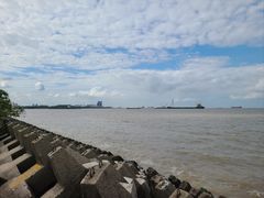 -上海滨江森林公园
