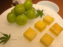 -觀芷隐轩