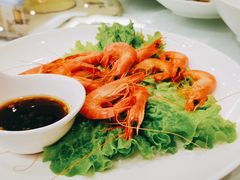 白灼大草虾-骏莱海鲜鱼港(五角场店)