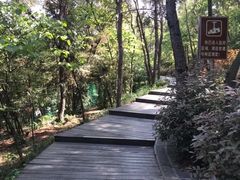 -兴福禅寺