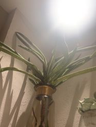 -香秀空间科技抗衰·美容中心