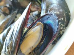 -胖大嫂渔家排档·全海景餐厅(渔村店)