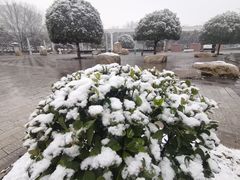 -唐城墙遗址公园