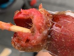 -和禄德冰糖葫芦