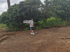 -光明小镇欢乐田园