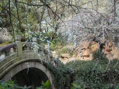 -北寺塔
