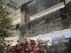 -赛格国际购物中心(小寨店)