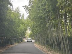 -苏州环秀晓筑养生度假村