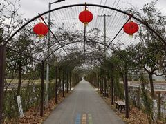 -上海长兴岛郊野公园