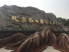 -北京西山国家森林公园