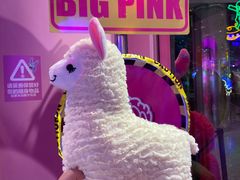-BIG PINK大粉娃娃机主题馆(圆融星座店)