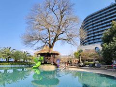 -绿城千岛湖喜来登度假酒店