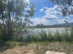 -野鸭湖国家湿地公园