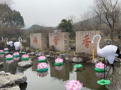 -香雪海