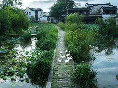 -呈坎景区
