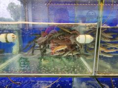 -老阿爸鲜鱼土菜(昆山花桥店)