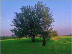 -汉长安城未央宫国家考古遗址公园