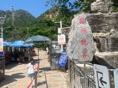-大岭沟猕猴桃谷风景区