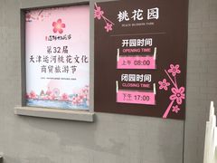 -桃花堤公园