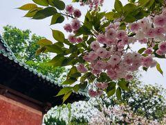 -荆州博物馆