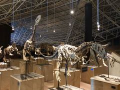 -世界恐龙谷景区