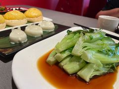 -采蝶轩