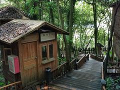 景点-天门沟九州驿站树上汤泉